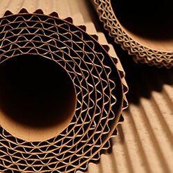 96% of CW Models Choose Pulp Cushioning Materials