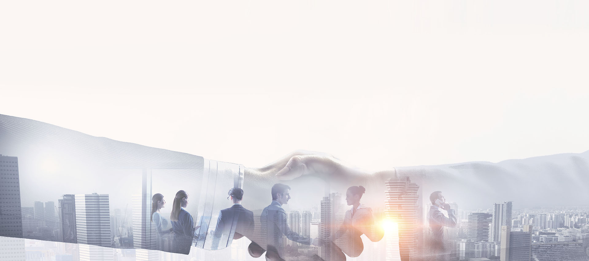Sezione Partnership Commerciale